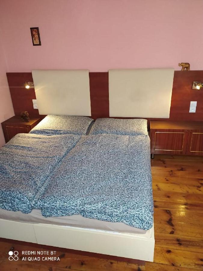 Penzion U Lipy ديشين المظهر الخارجي الصورة
