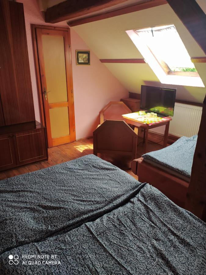 Penzion U Lipy ديشين المظهر الخارجي الصورة